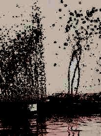 raindance